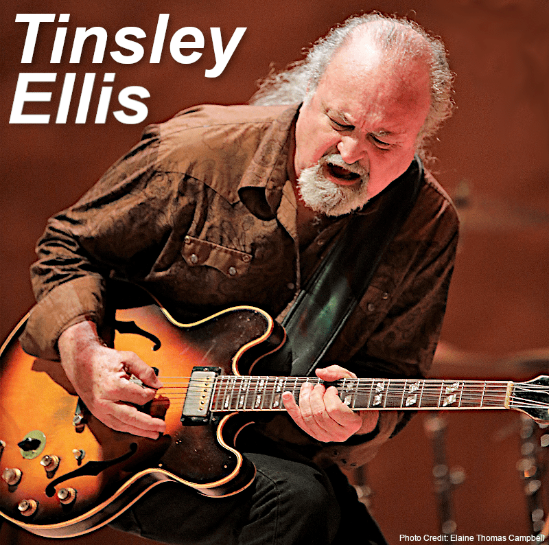 Tinsley Ellis Devil May Care I Bluestown Music