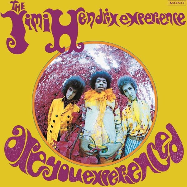 the Jimi Hendrix Experience - Are You Experienced