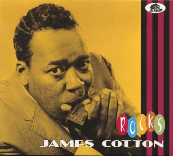 James Cotton - Rocks