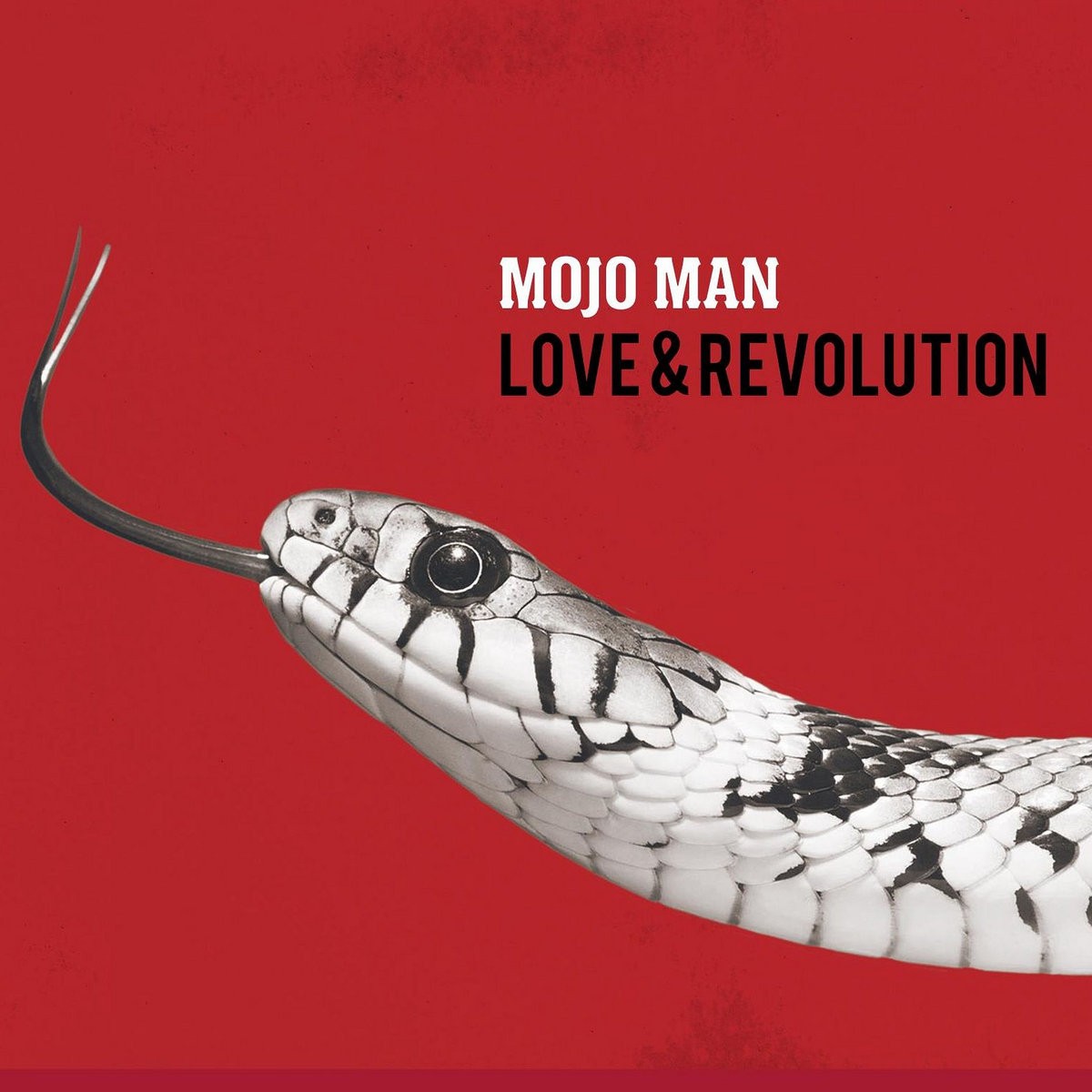 Mojo Man - Love & Revolution