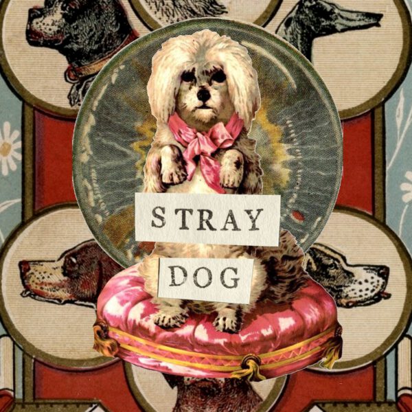 Subterranean Street Society - Stray Dog