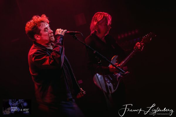 The Hoochies The Hoochies