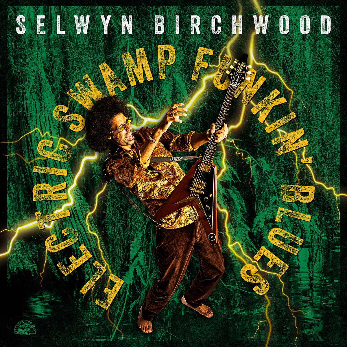Selwyn Birchwood - Electric Swamp Funkin' Blues