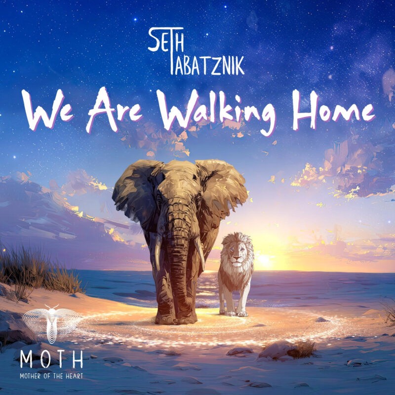 Seth Tabatznik - We Are Walking Home Seth Tabatznik - We Are Walking Home