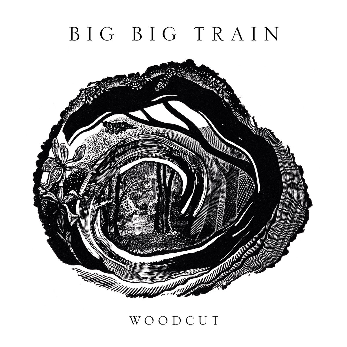 Big Big Train - Woodcut