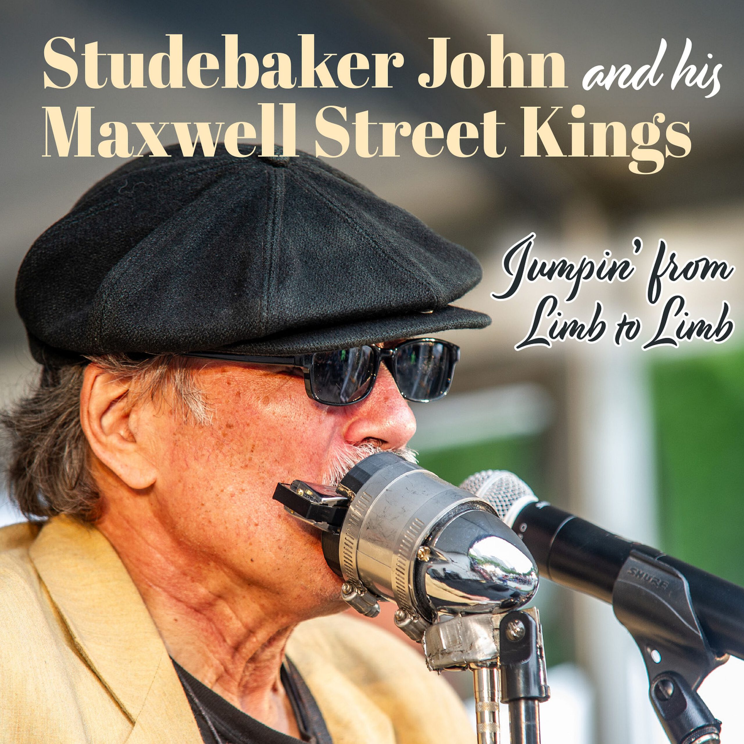 Studebaker John And His Maxwell Street Kings - Jumpin’ From Limb To Limb