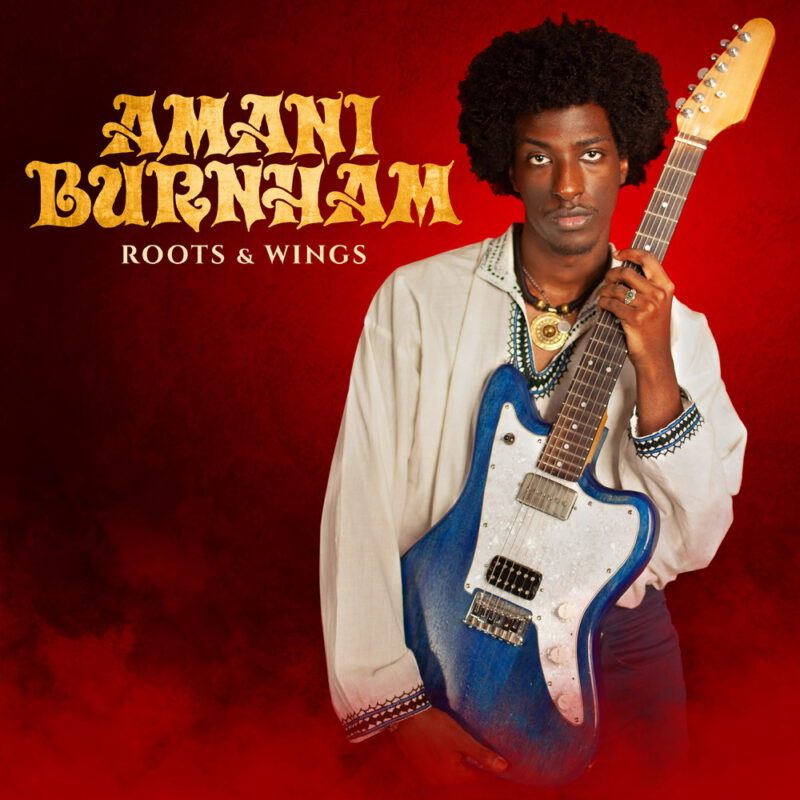 Amani Burnham - Roots & Wings