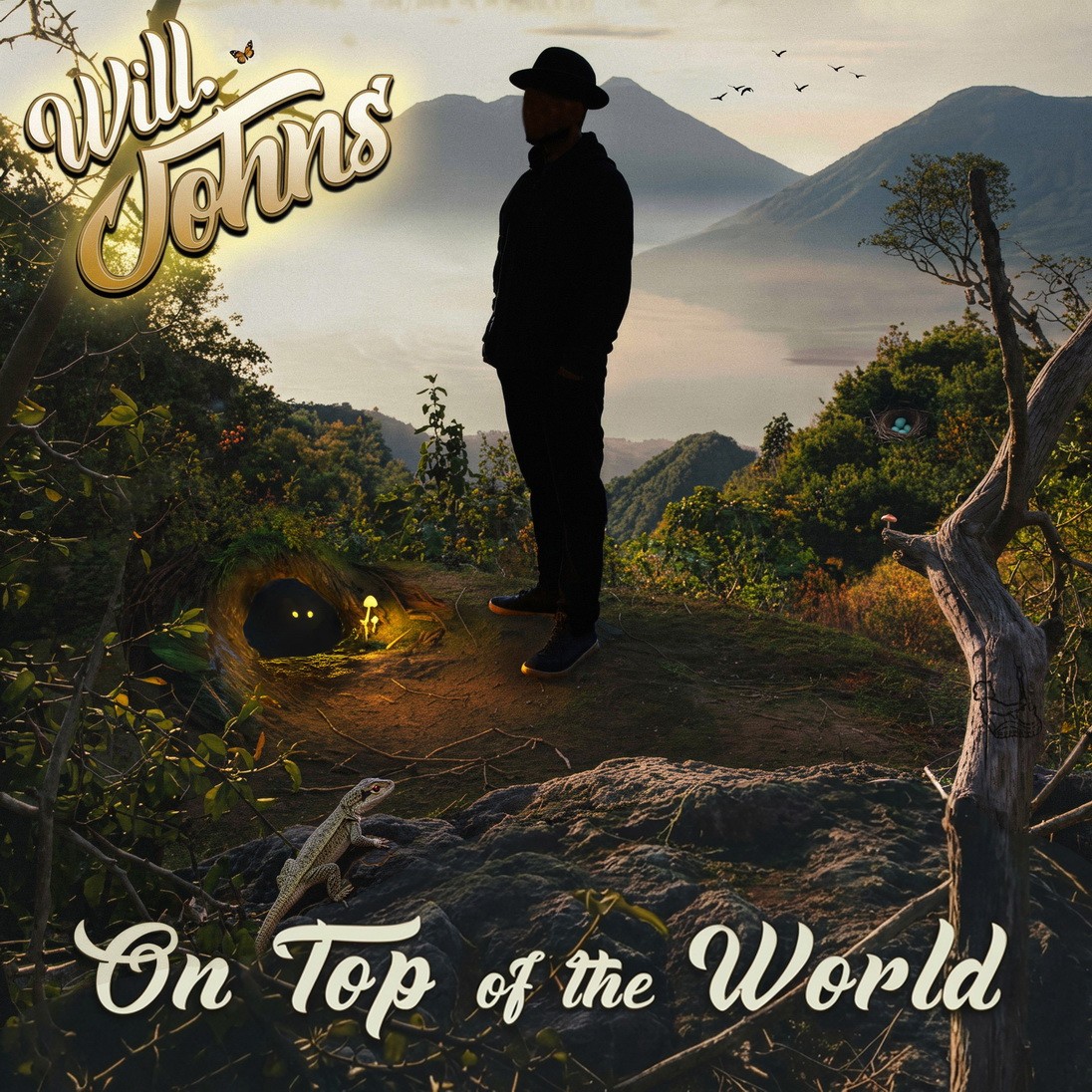 Will Johns - On Top Of The World