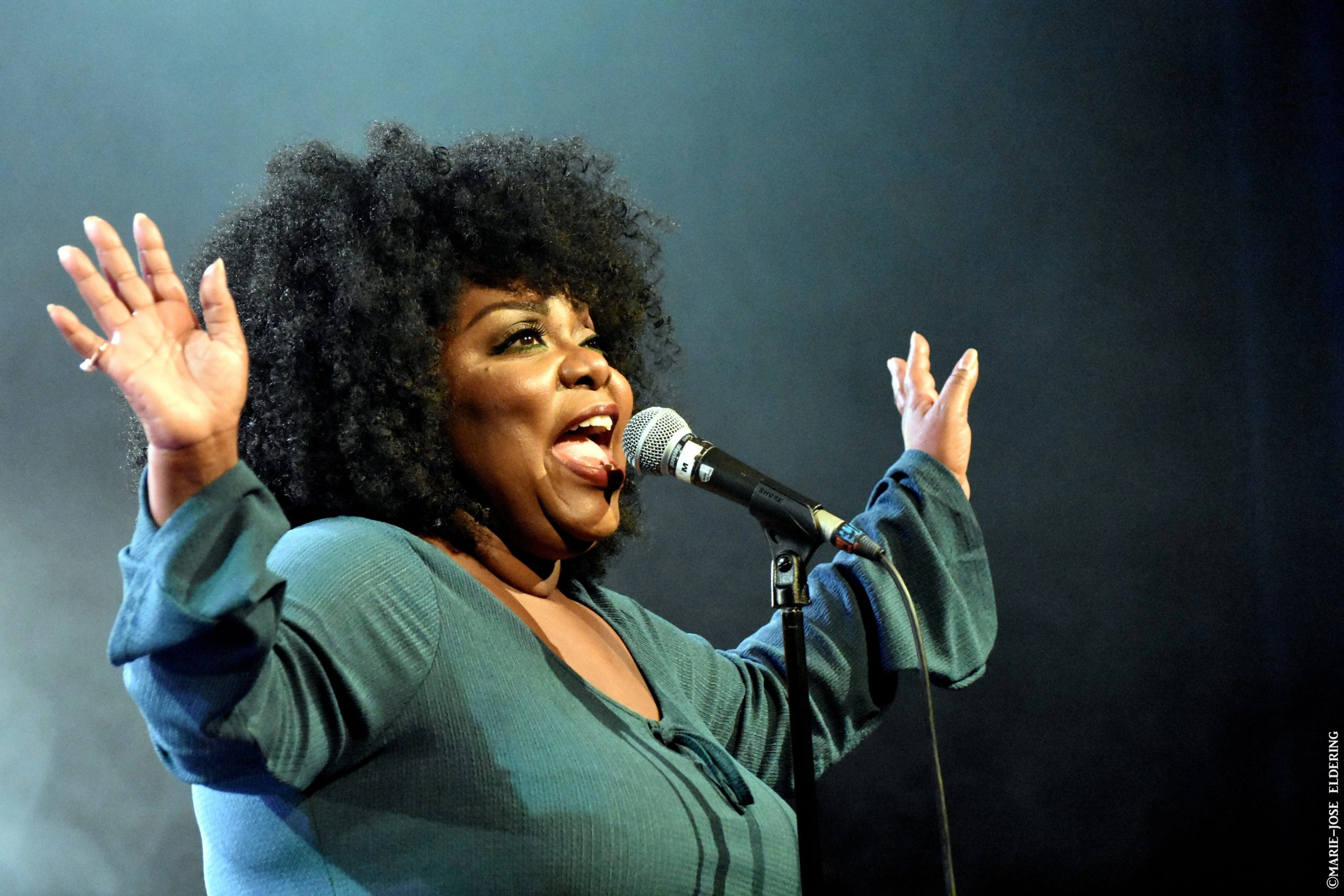 Michelle David & The True-Tones