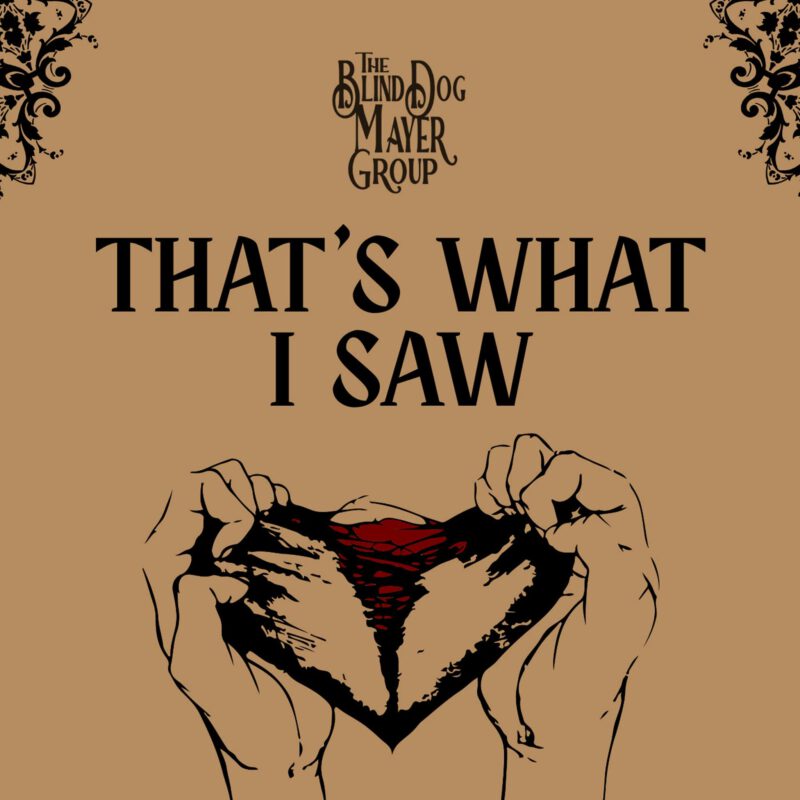 The Blind Dog Mayer Group-That's What I Saw
