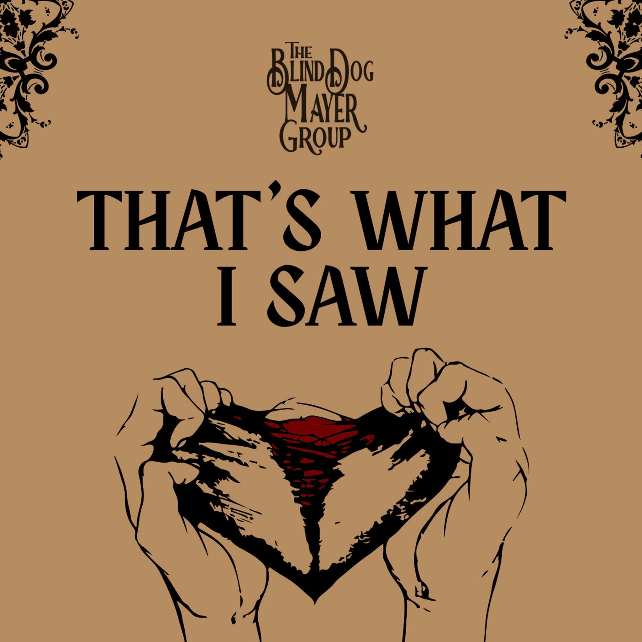 The Blind Dog Mayer Group-That's What I Saw