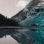Downpilot - Stange Horses