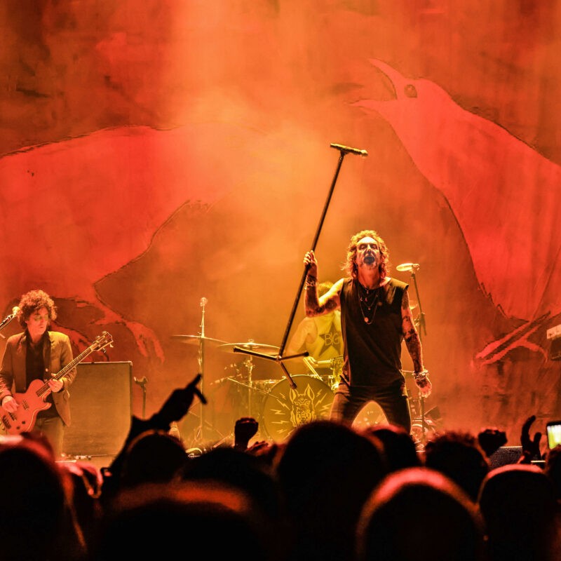 The Black Crowes 5