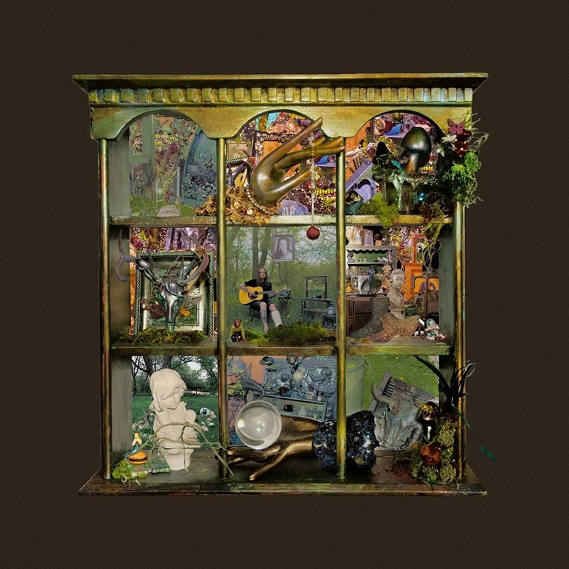 Album cover of So Much For Goodbyes by Billy Strings