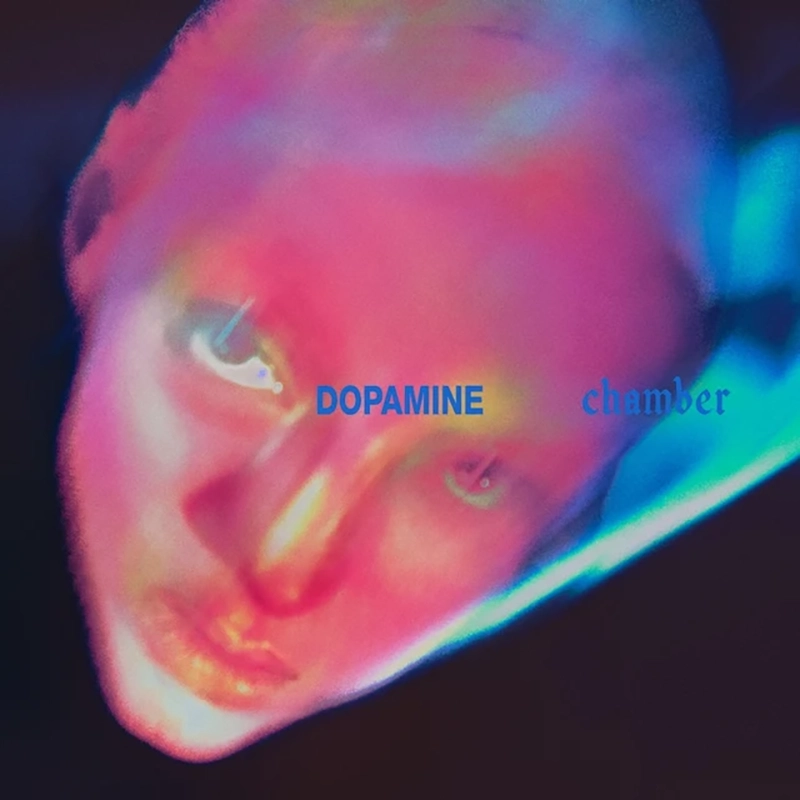 Album cover of Dopamine Chamber by Irish alternative rock band Fontaines D.C., released on XL Recordings in 2026.