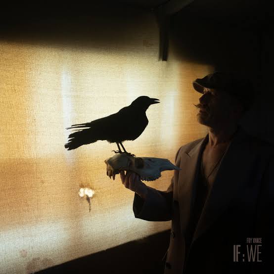 Foy Vance - IF: WE