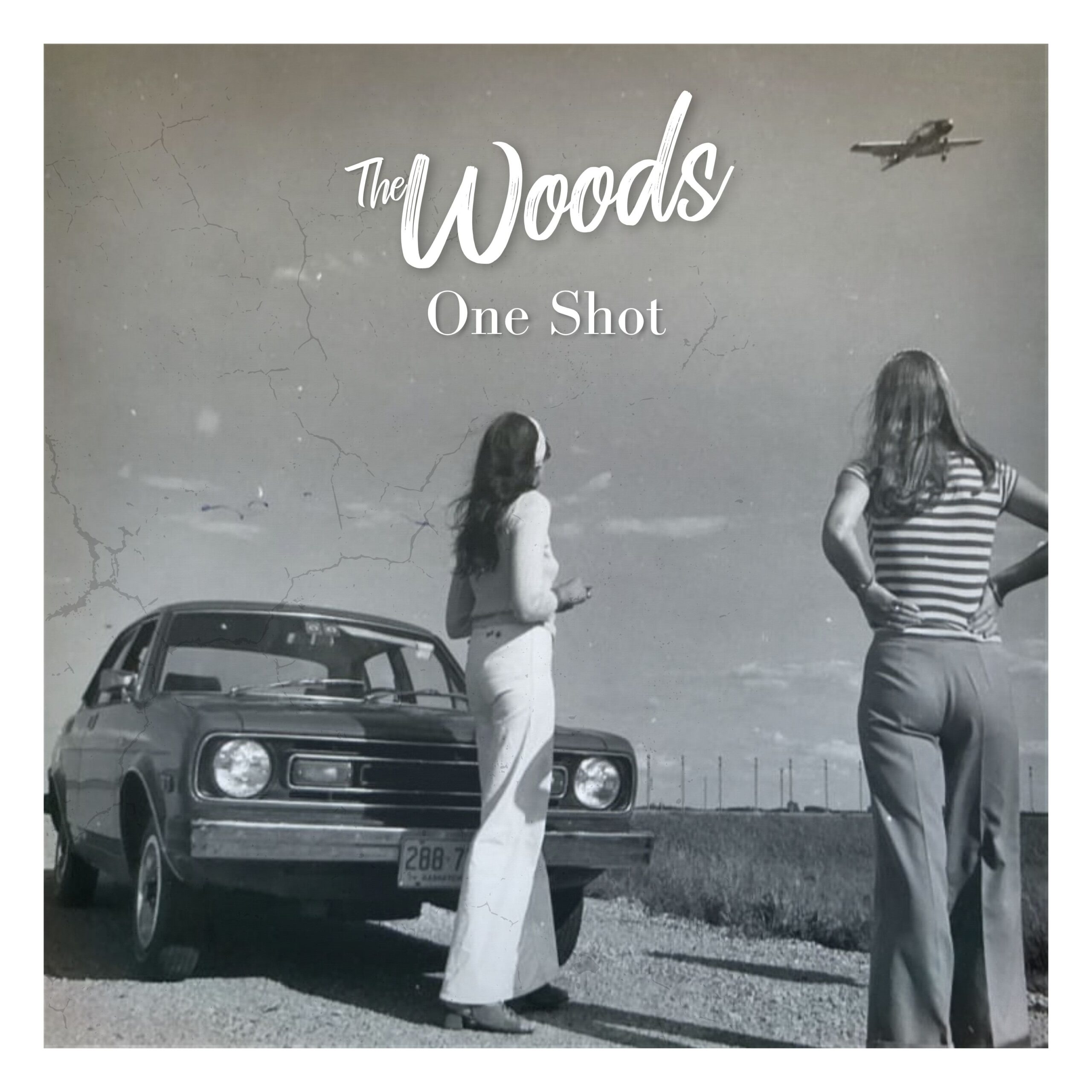 The Woods - One Shot